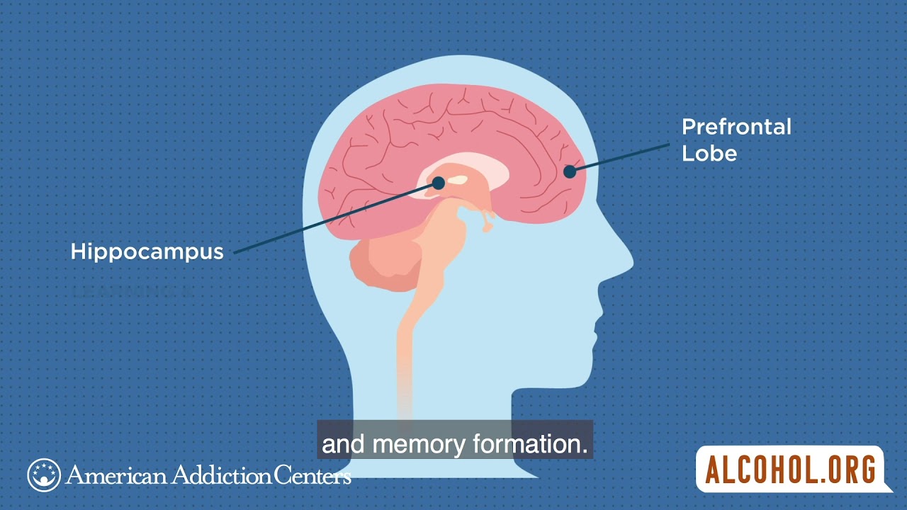 How Does Alcohol Affect the Teen Brain?