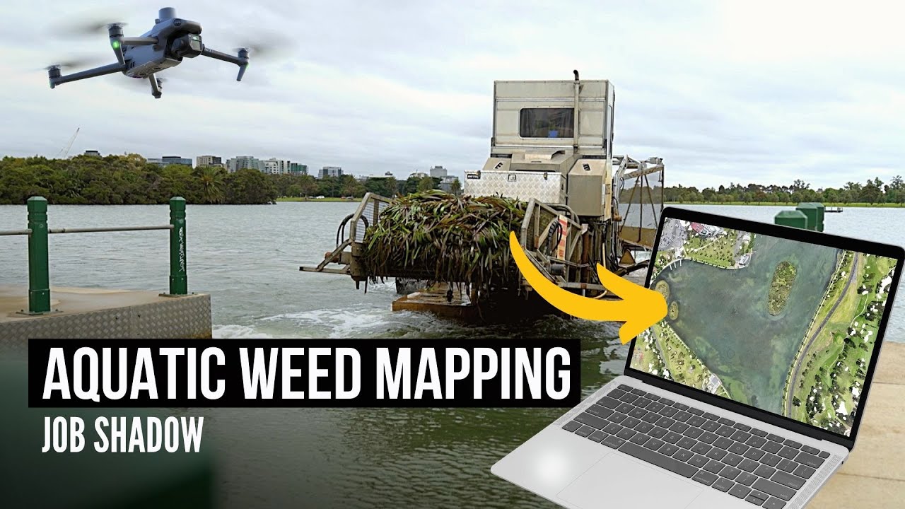 JOB SHADOW: Aquatic weed mapping with a drone! Mavic 3 Enterprise Process + Results