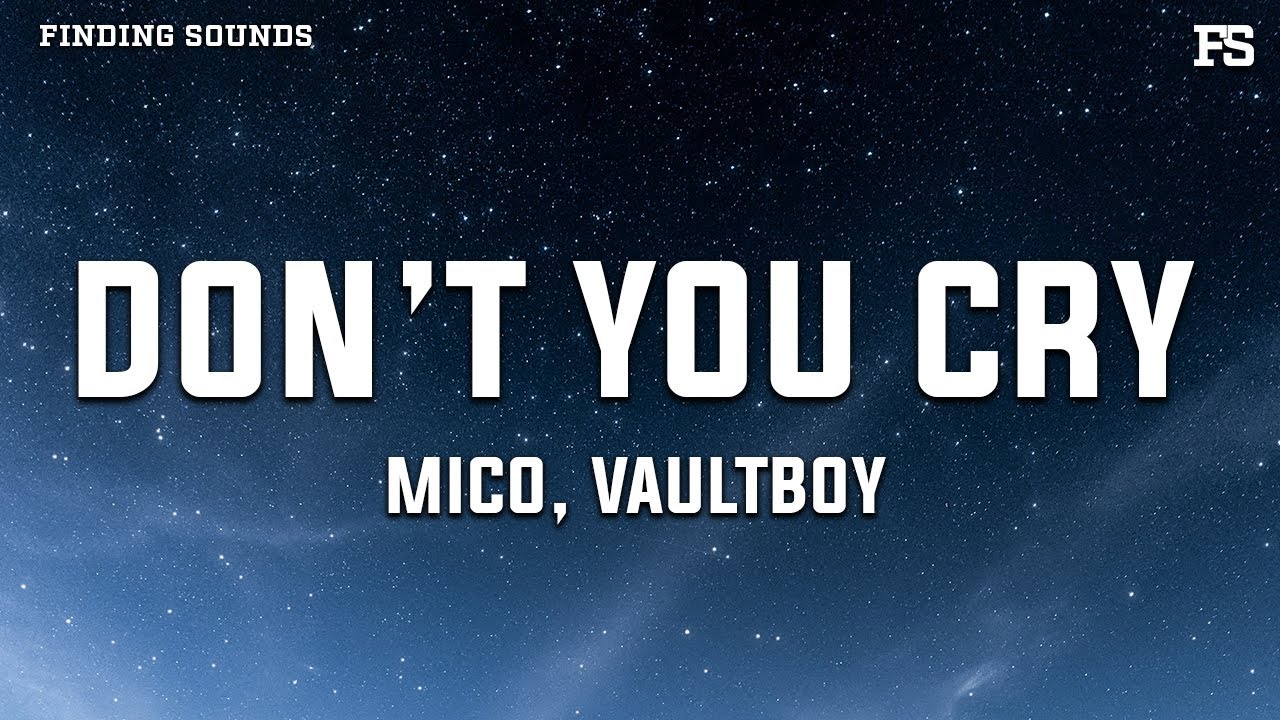 MICO - Don't you cry (feat. vaultboy) [Lyrics]