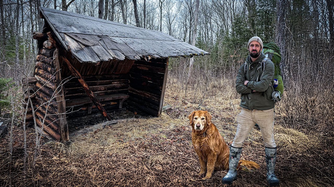 Forced to Flee the Forest! Discovered a Survival Cabin in Ruins