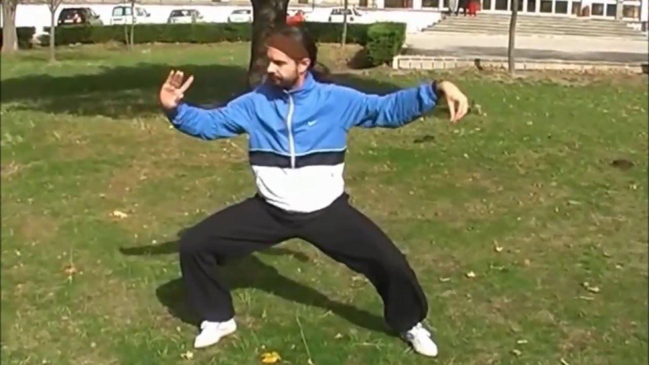 TAI CHI SIMPLIFICADO, CHEN TAIJIQUAN 36 FORM (DAVID GÓMEZ)