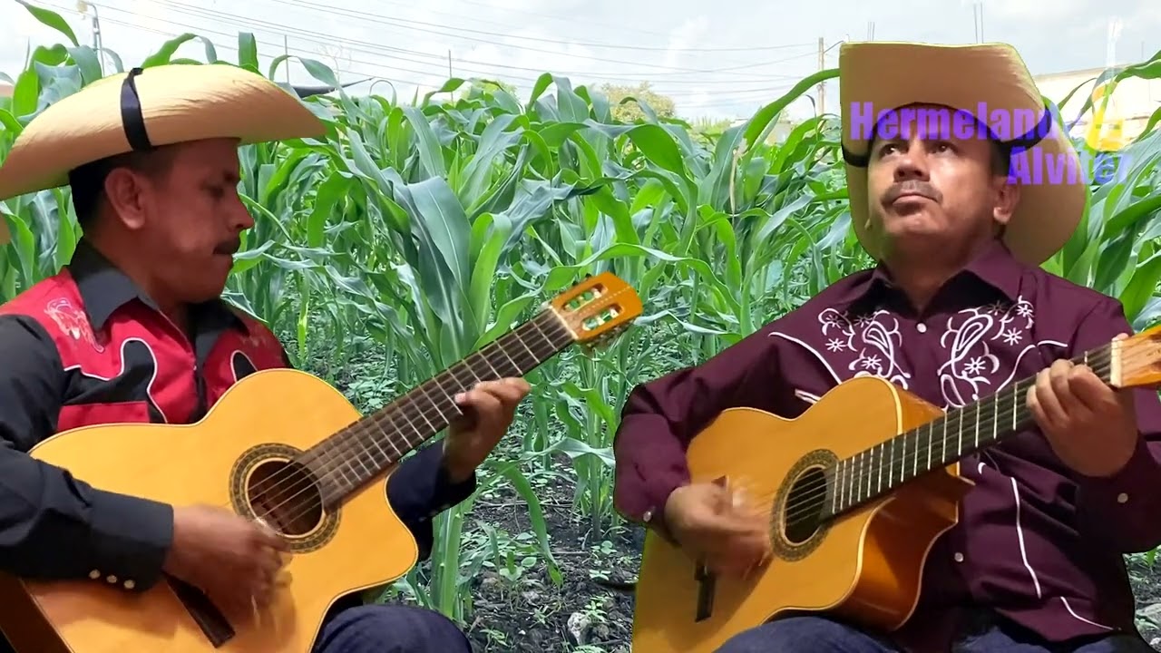 Vengo a ver unos Ojos - Instrumental con Guitarras - Éxito del Dueto Las Palomas - Hermelando y Mr.H