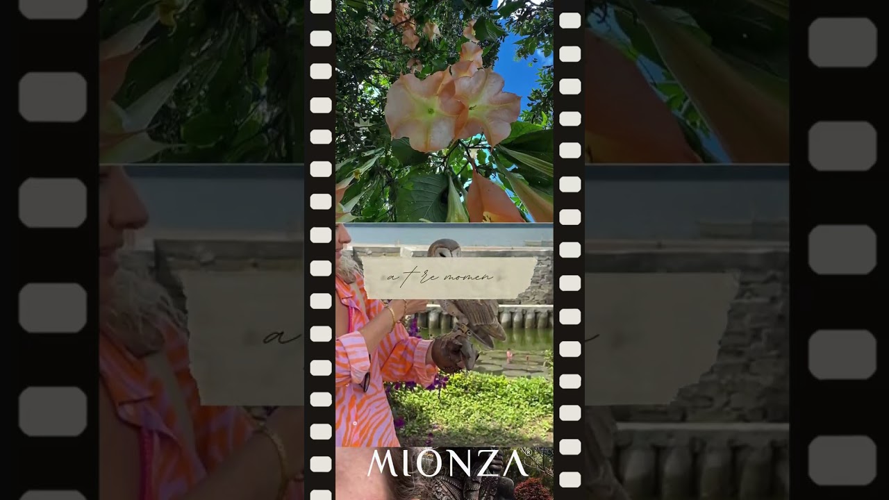 Everyday & Vacation Style