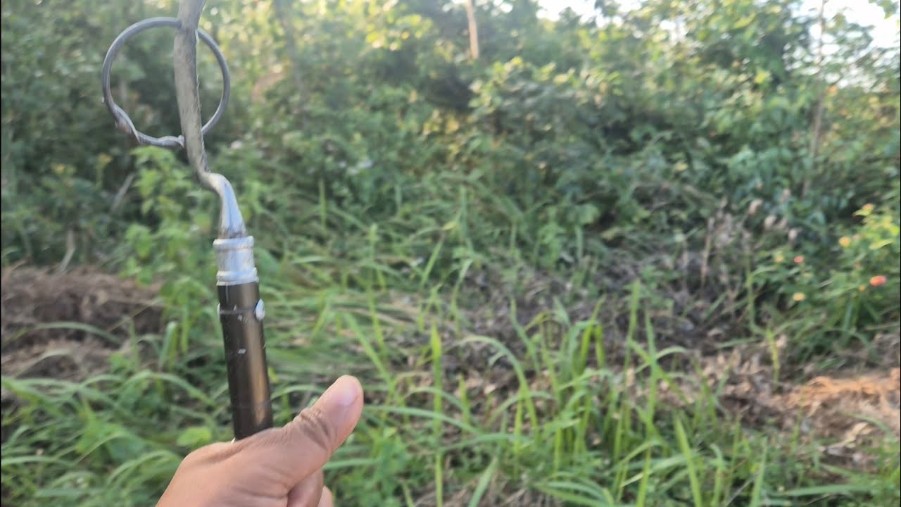 Một Buổi Chiều Ở Miền Núi Cùng Đam Mê