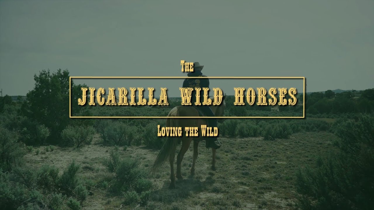 Loving the Wild