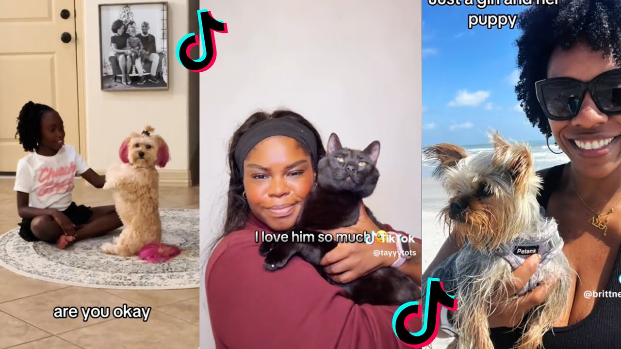 Black Folks and Their pets | Funny tiktok compilations #blackwoman