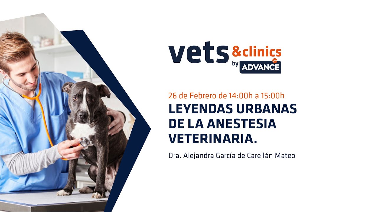 20.ES Leyendas urbanas de la anestesia en veterinaria (Dra. Alejandra García de Carellán)