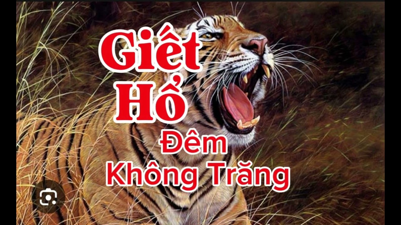 GIẾT HỔ ĐÊM KHÔNG TRĂNG | Lê Anh diễn đọc 