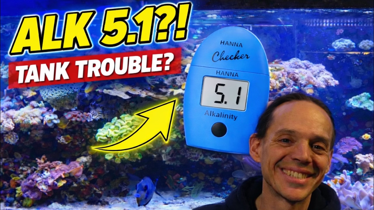 I Haven&rsquo;t Tested My Reef Tank in YEARS... (The Results Were Shocking!)