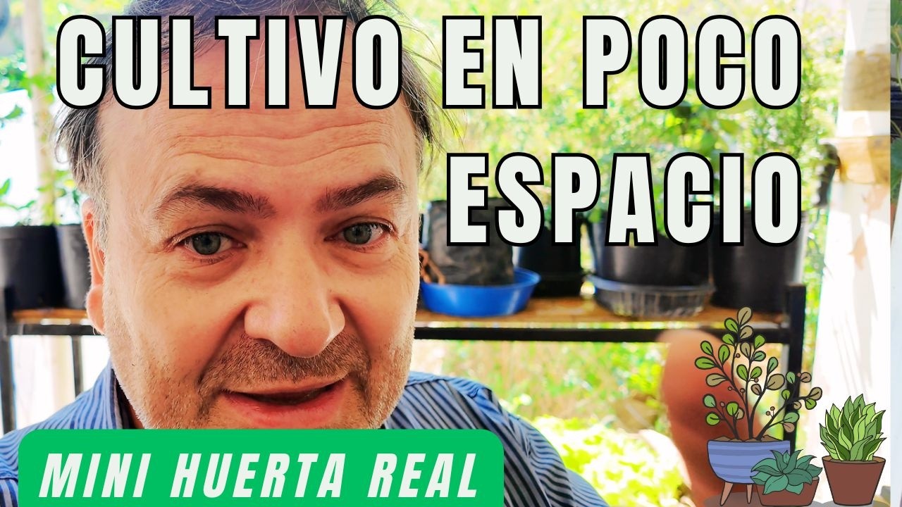 MINI HUERTA Como cultivar en poco espacio 🌱