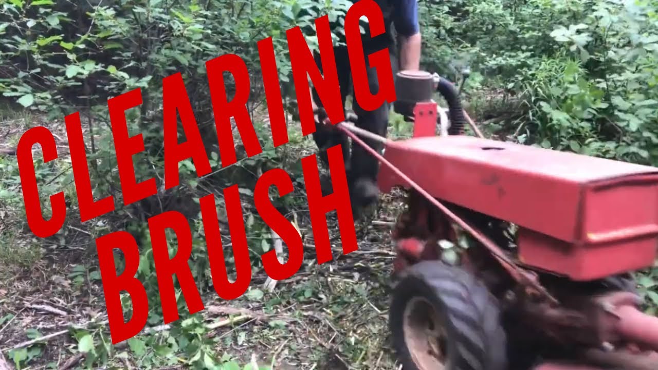 Beekeeping Update and Running the Gravely Walk Behind with Brush Cutter/Bush Hog