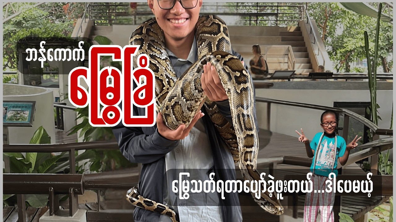 I Used to Kill Snakes: Visit Bangkok's Snake Farm and Food Hunt | မြွေသတ်ခဲ့ဖူးသူတစ်ယောက်ရဲ့အကြောင်း