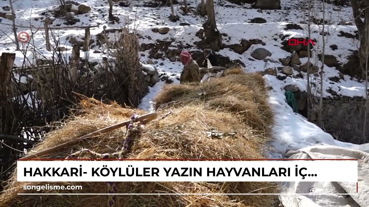 HAKKARİ- Köylüler, yazın hayvanları için topladıkları otları dağdan kızaklarla indiriyor