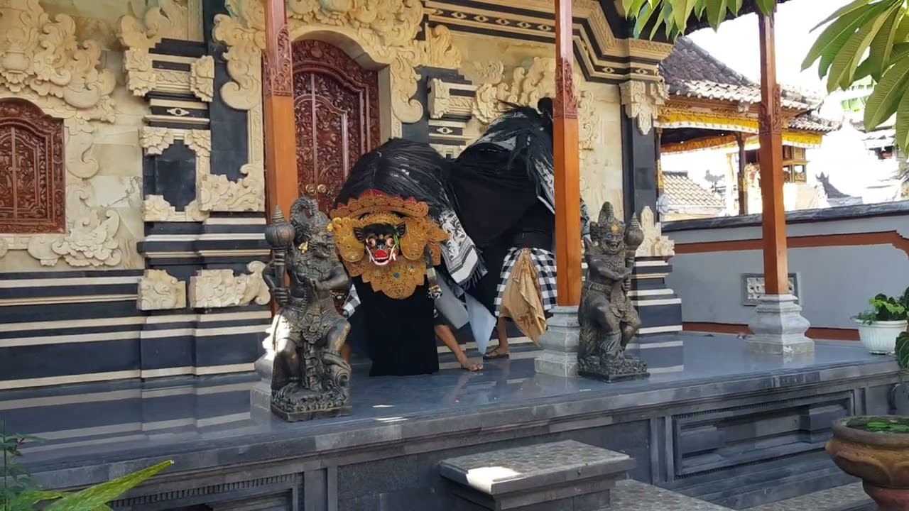 Seke Barong Bawi Agung anak anak Banjar Jelantik Kuribatu Desa Tojan ngelawang Hari Galungan(8/6/22)