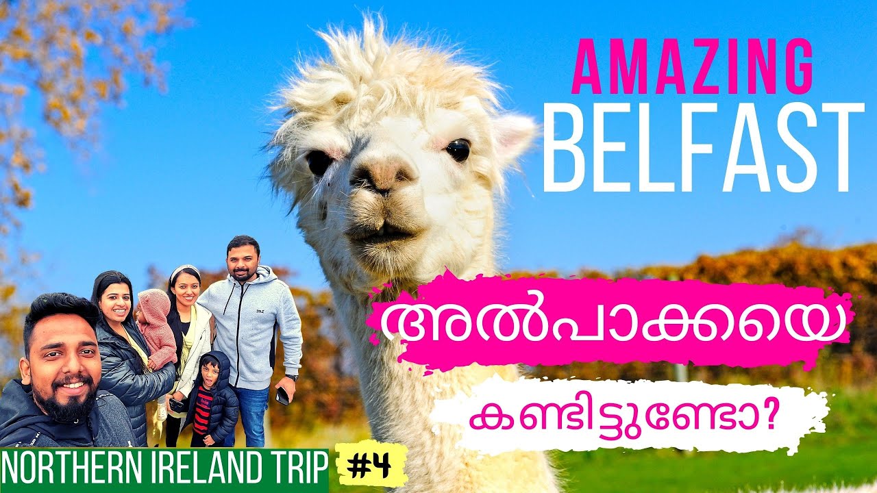 Northern Ireland Trip EP 4 | Belfast Zoo | Belfast Attractions