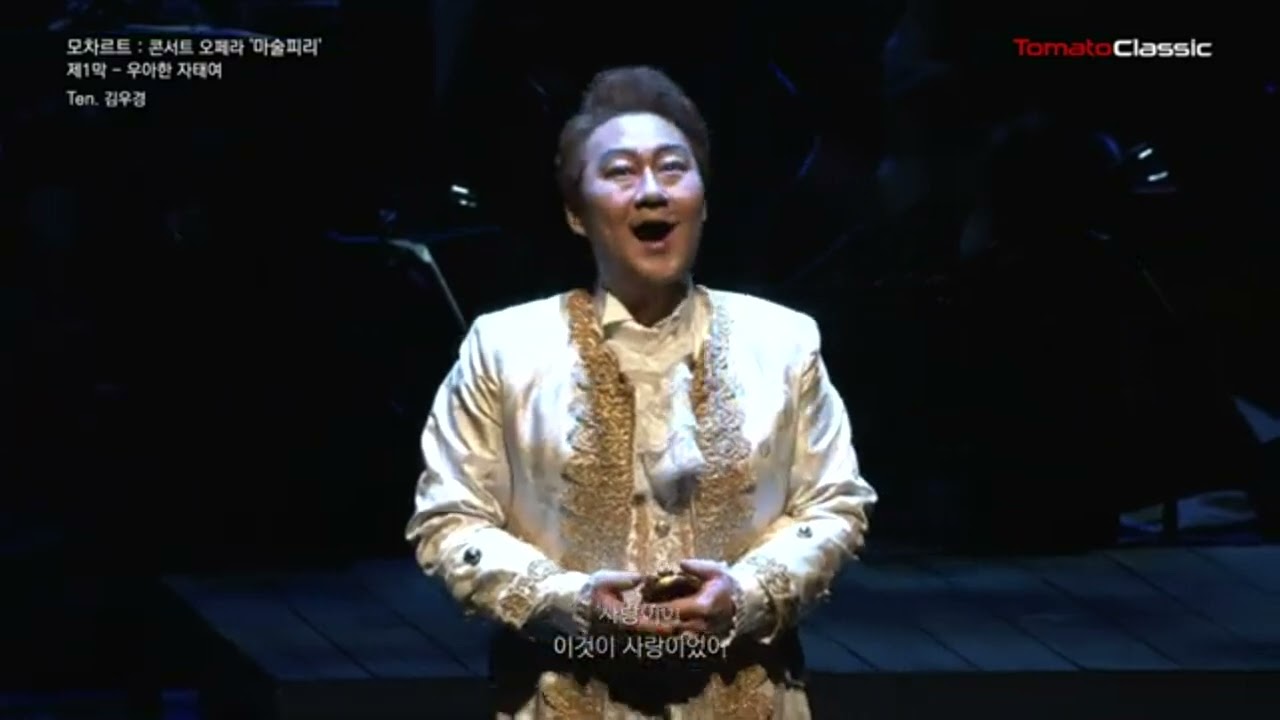 Dies Bildnis ist bezaubern schön Ten. Wookyung Kim 테너 김우경
