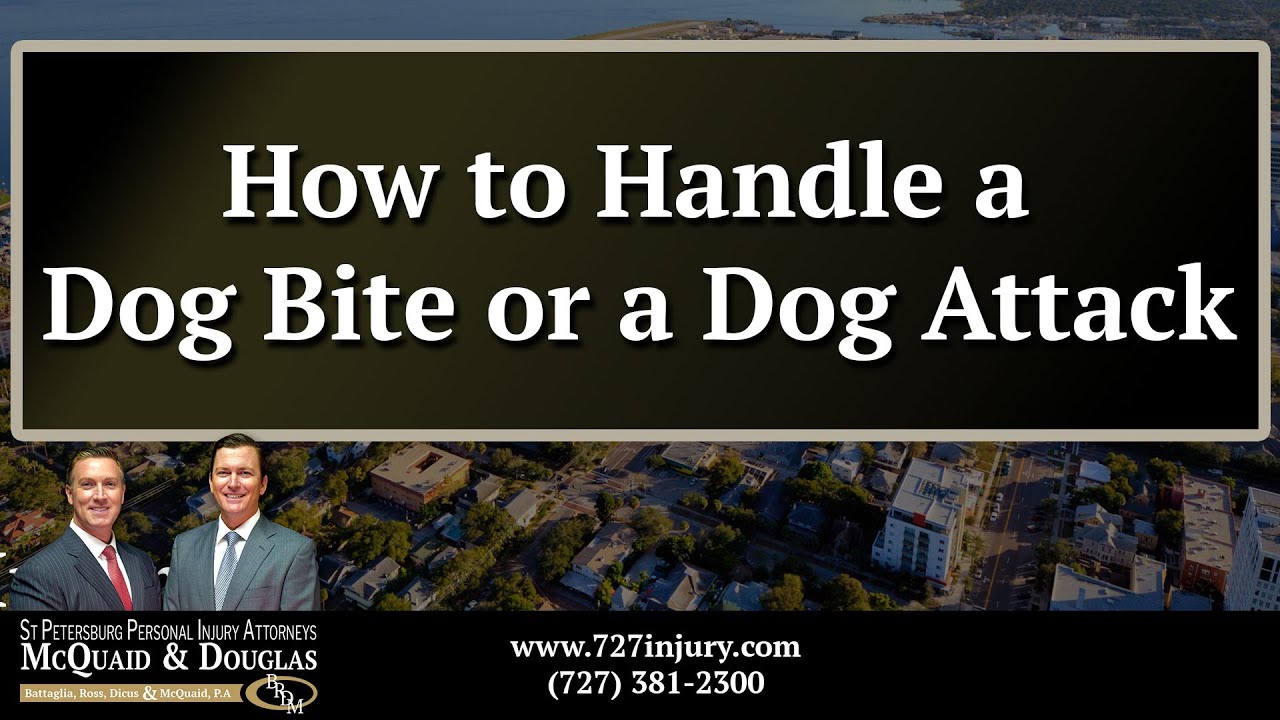 How to Handle a Dog Bite or a Dog Attack