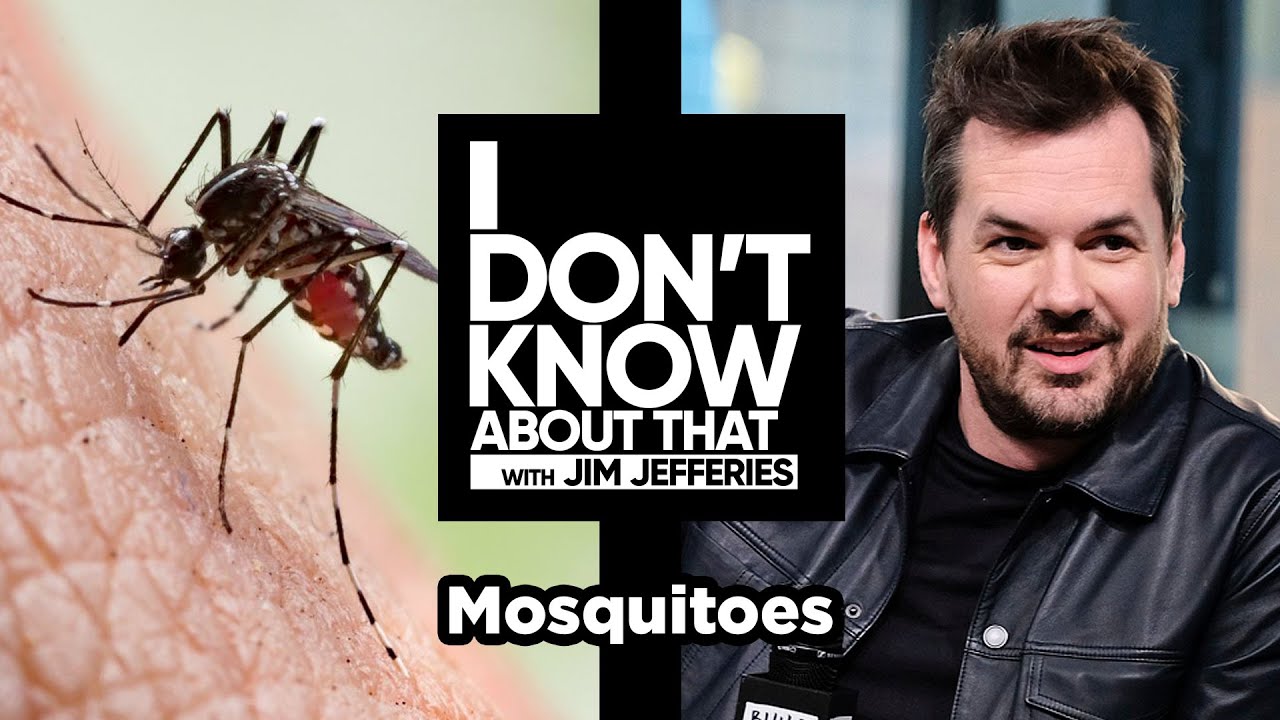 Mosquitoes | I Don't Know About That with Jim Jefferies #64