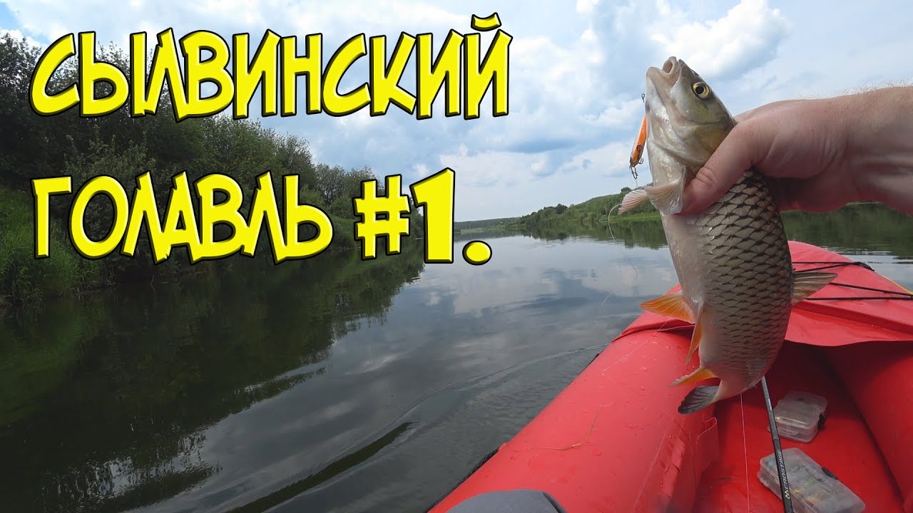 Сылвинский голавль #1.