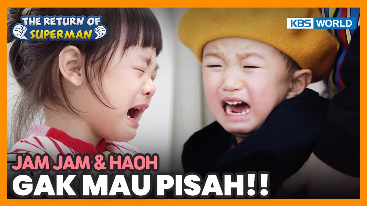 [IND/ENG] Jam Jam & Haoh nangis karena gak mau pisah!! | Nostalgia Superman | KBS WORLD TV 200419