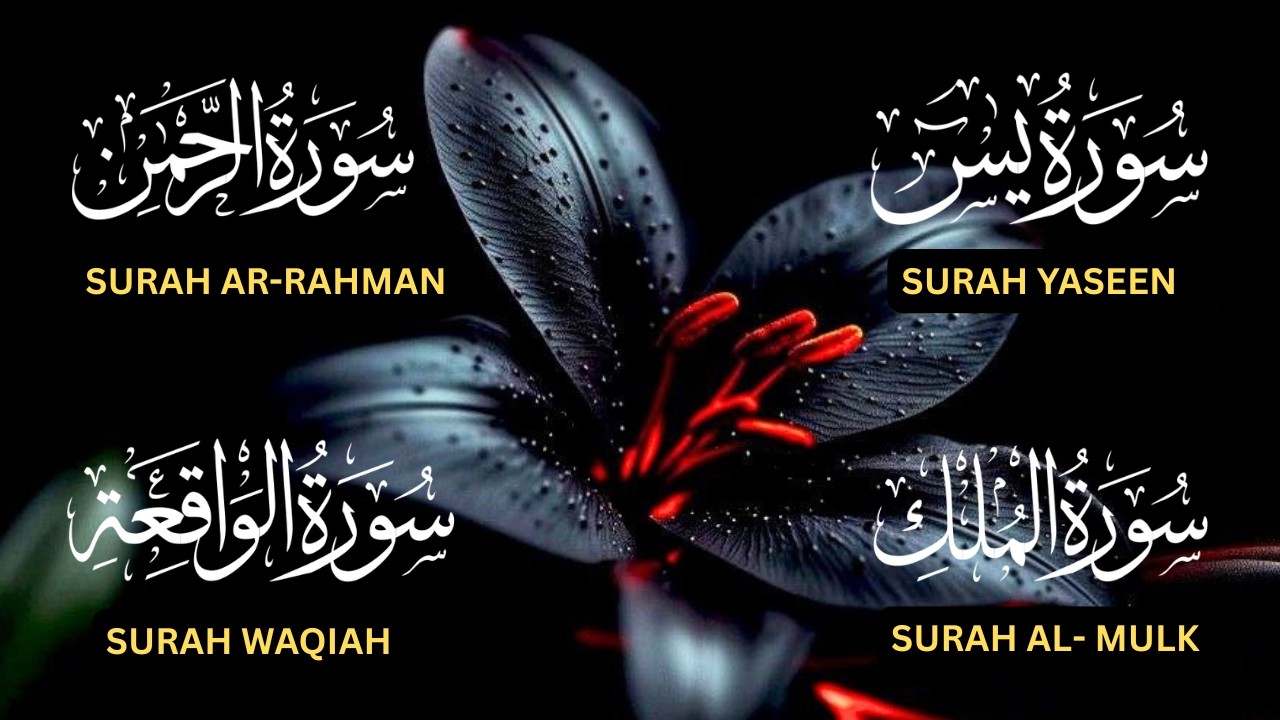 Surah Yaseen♥️, Surah Rahman♥️, Surah Waqiah♥️, Surah Al Mulk♥️| Beautiful  Soothing Recitation ❤️