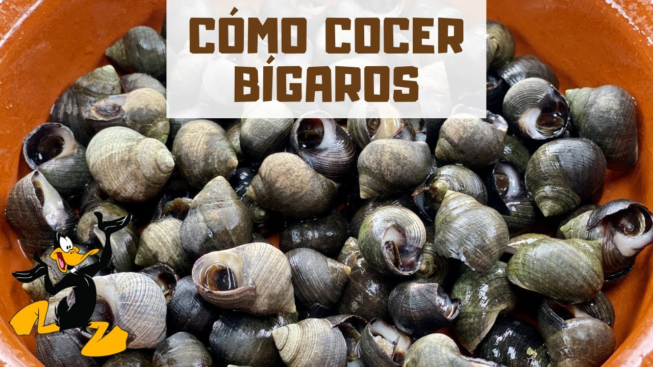 3 TRUCOS para Cocer Bígaros 🤤 ¡SUPER SABROSOS!
