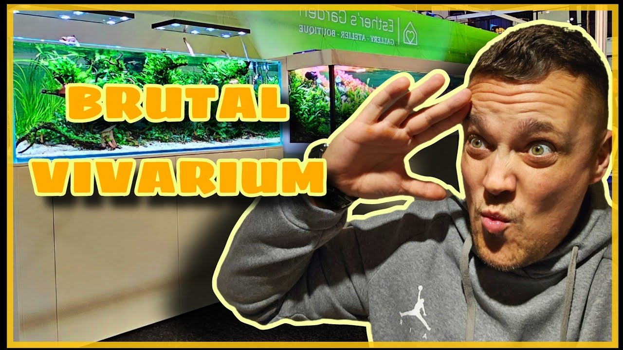 LA FERIA N⁰1 DE ACUARIOS EN EUROPA // VIVARIUM 2024 // EASYREEFS // AQUAFLORA // DE JONG MARINELIFE