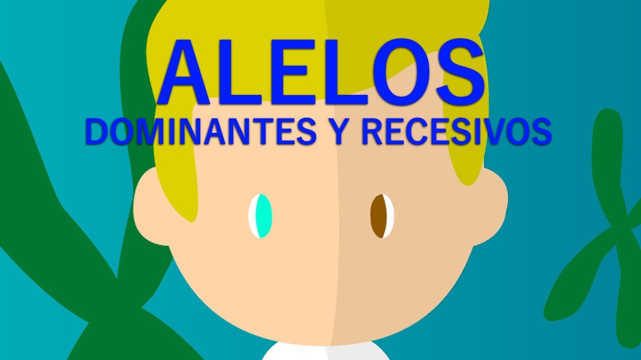 ALELOS RECECIVOS Y DOMINANTES // EXPLICACIÓN FÁCIL