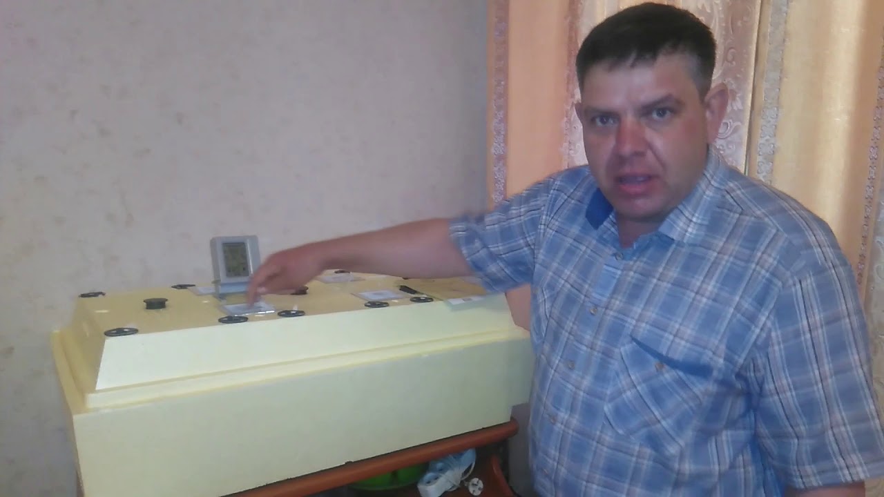 Инкубатор 