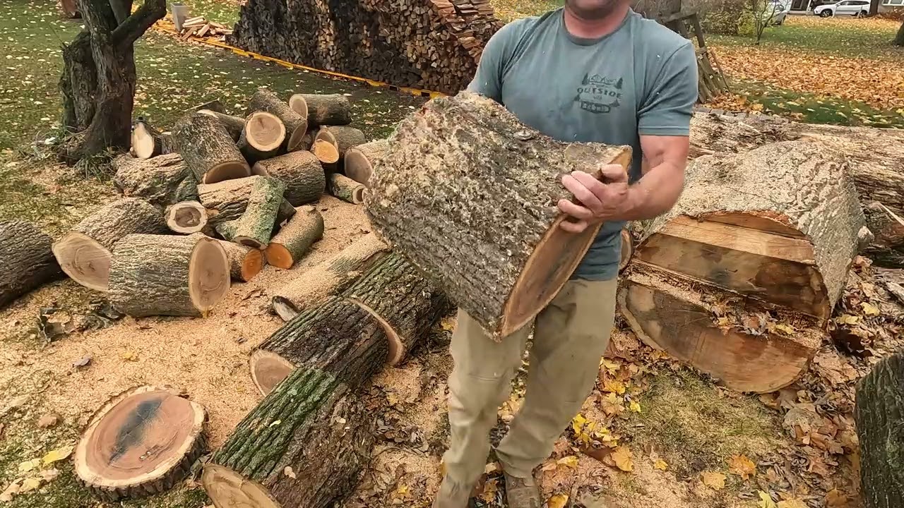 STIHL MS 500I Metal Detector cutting logs into firewood rounds.