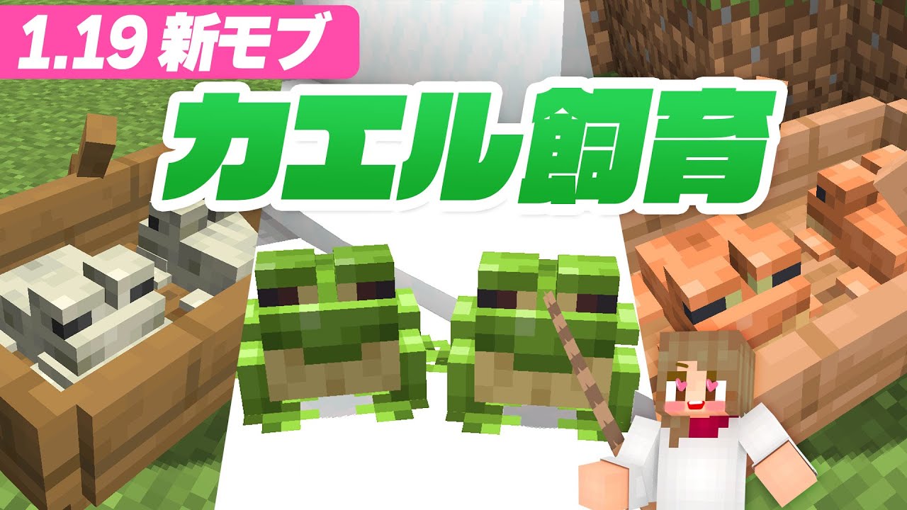 【新バージョン1.19】３色のカエル誕生！バイオームの気候で色が変わる？【マインクラフト】マイクラ実況 62