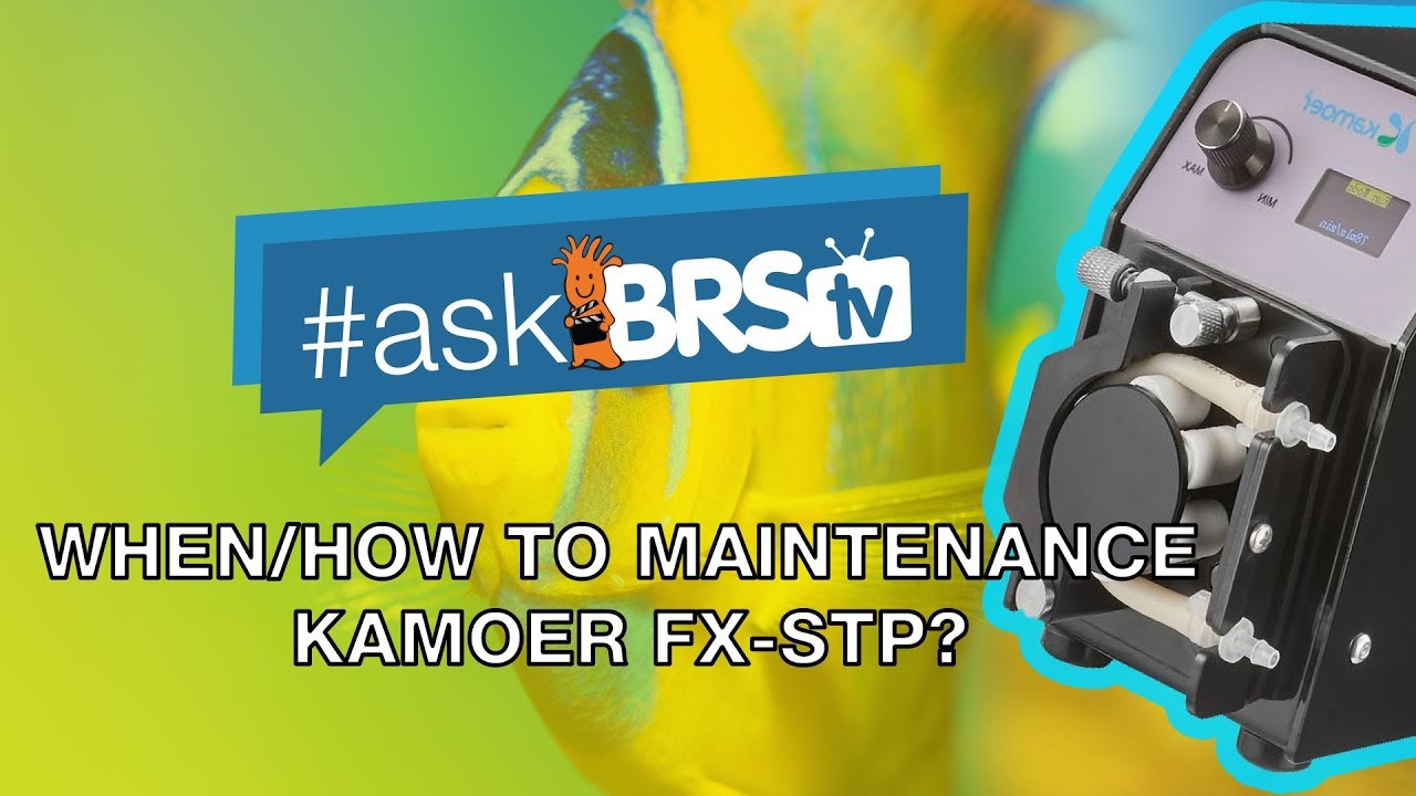 When should I replace the Kamoer FX-STP tubing and head? | #AskBRStv