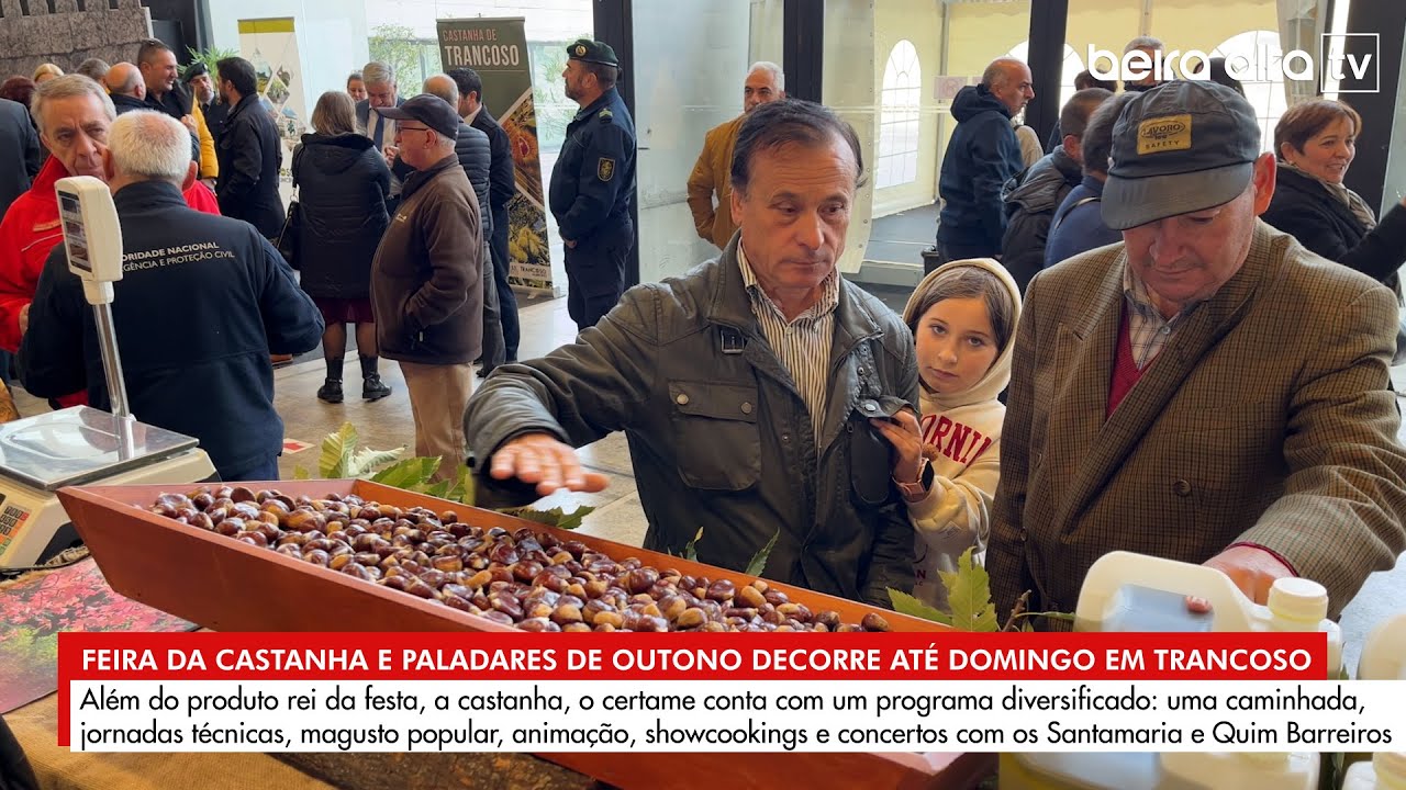 Feira da Castanha e Paladares de Outono decorre em Trancoso até domingo