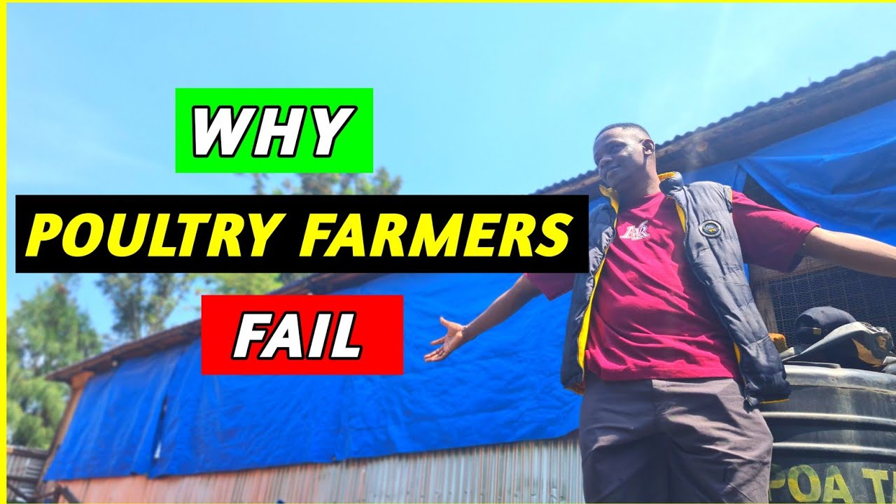 WHY POULTRY FARMERS FAIL