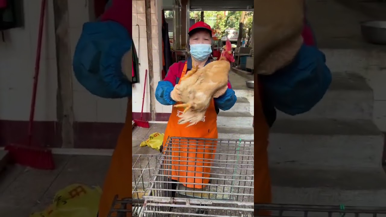 Countdown to Poultry Fun: How Many Kinds Do You Know