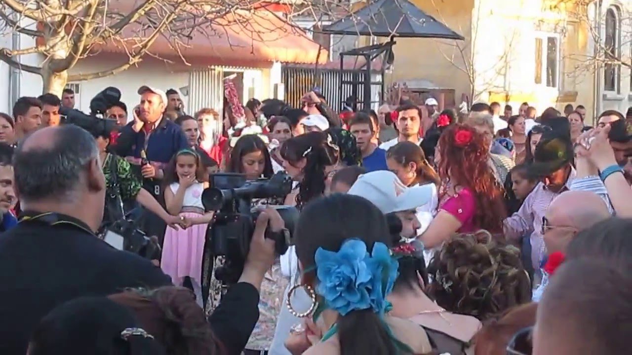 Florin Salam la o nuntă de romi din Municipiul Calafat