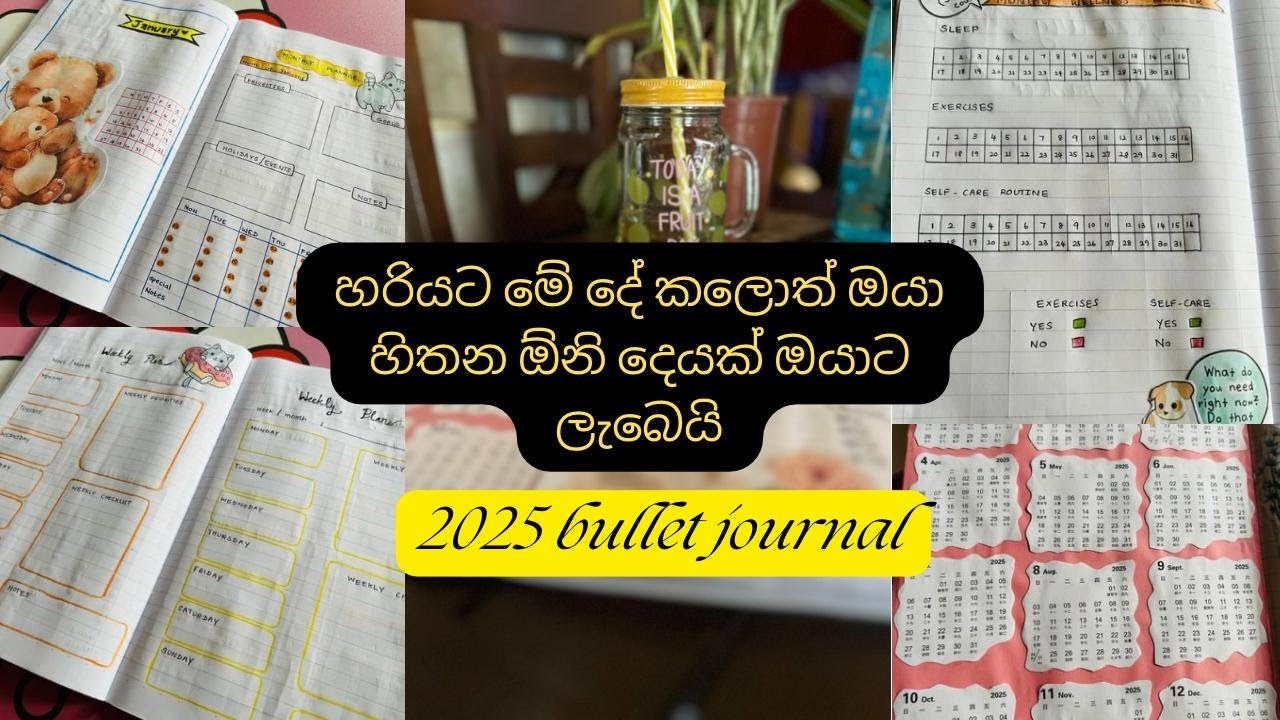 2025 අවුරුද්ද හරියට plan කරමු|අවුරුද්දම ගොඩ දාගමු#bulletjournal #journalideas #2025