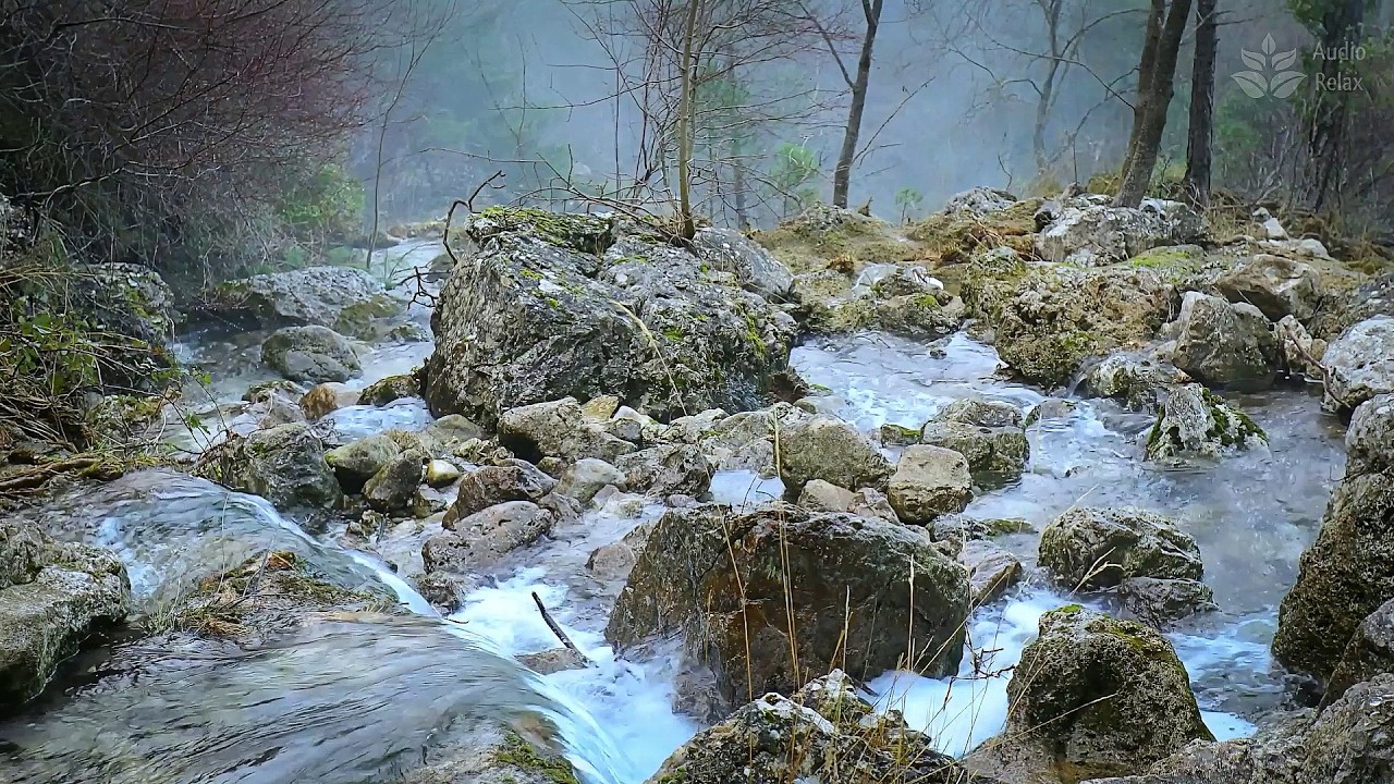 Foggy Woodland Brook | 10 Hours of Relaxing Nature Ambience for Anxiety Relief