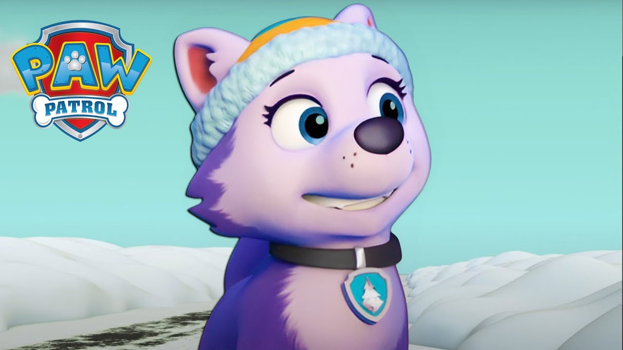 Mountain Rescuer! - PAW Patrol Episode - Cartoons for Kids Compilation