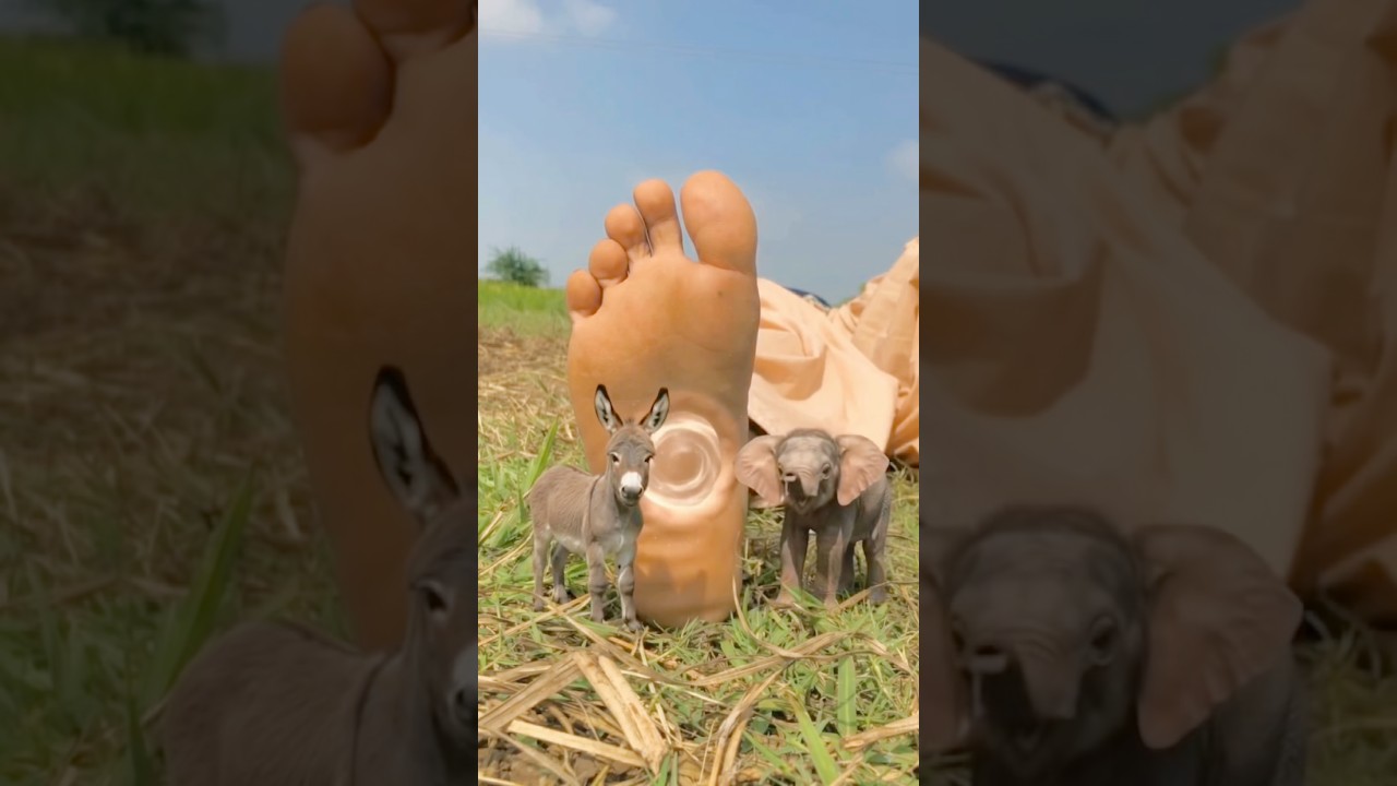 Allah Tala ke madad#ytshorts#news#prayer#today#trending#emotional#youtubeshorts#shorts