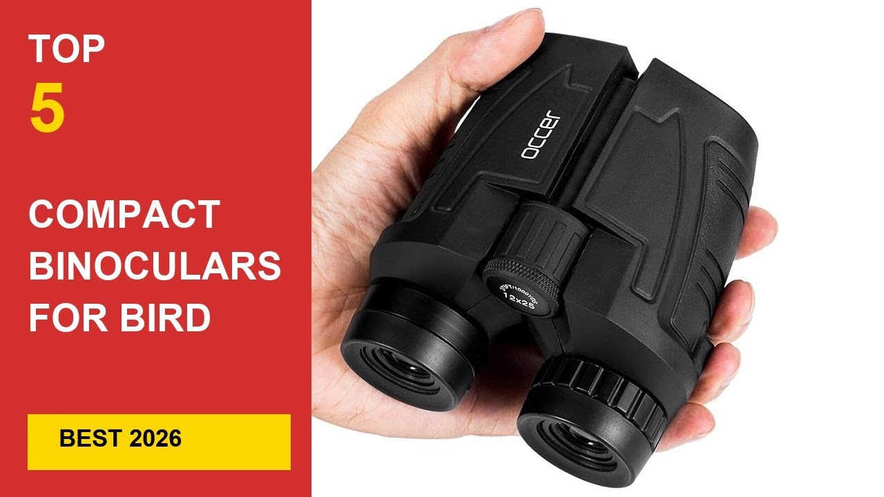 Best Compact Binoculars for Bird Watching in 2026 – Lightweight & Powerful Picks in 2026