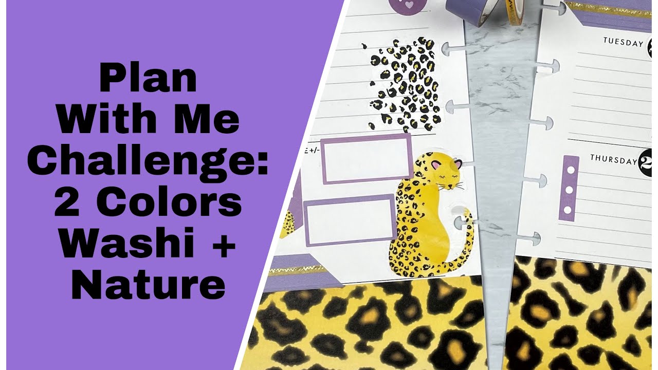 Plan With Me - Challenge - Happy Planner - Dashboard Layout - Work 2/22-2/28 #challenge