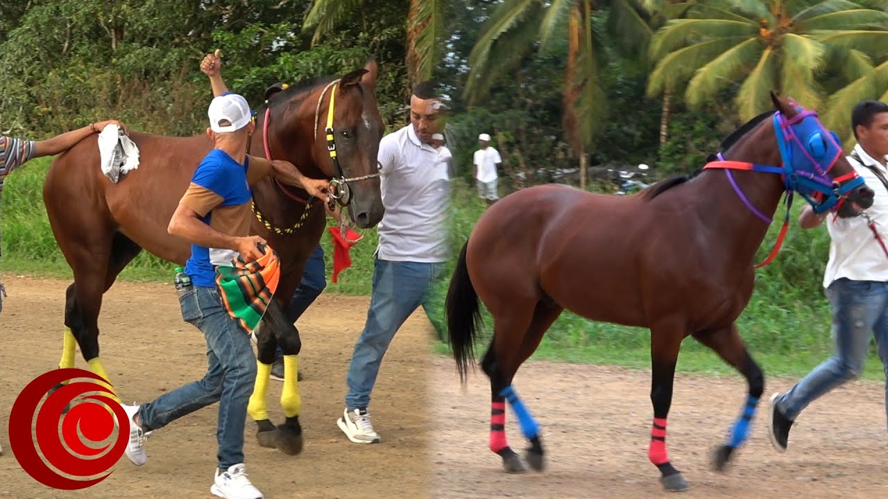 CARRERAS de CABALLOS 🐎🐴 Mar&iacute;a La Baja, Bol&iacute;var, Colombia. 15 de junio de 2025
