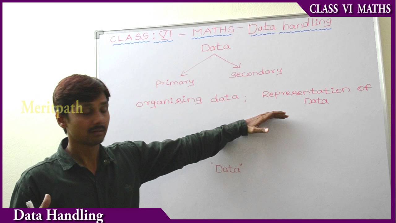 class 6 CBSE Maths Data handling  part 1