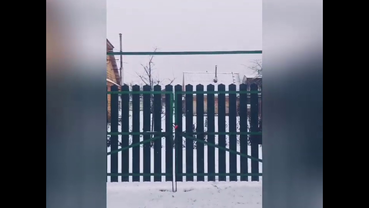 18.11.2018