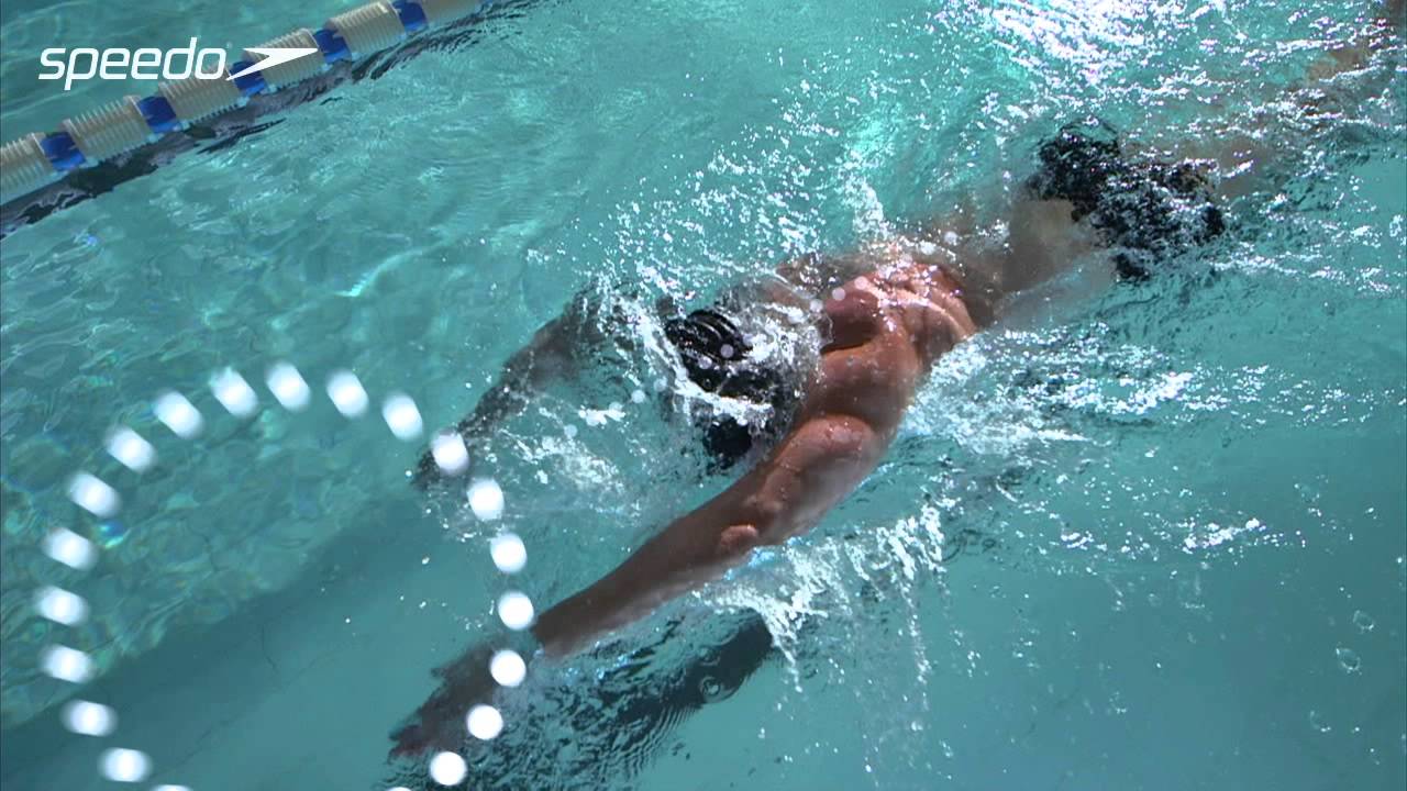 Get Speedo Fit - Crawl - Mouvements des Bras