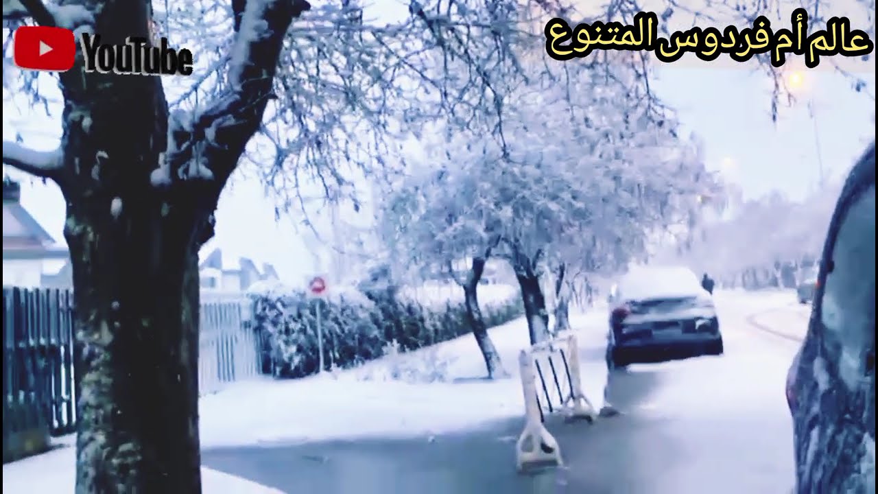 ثلوج إفران + أغنية أمازيغية = إحساس لا يوصف ❄️ | عبد العزيز أحوزار