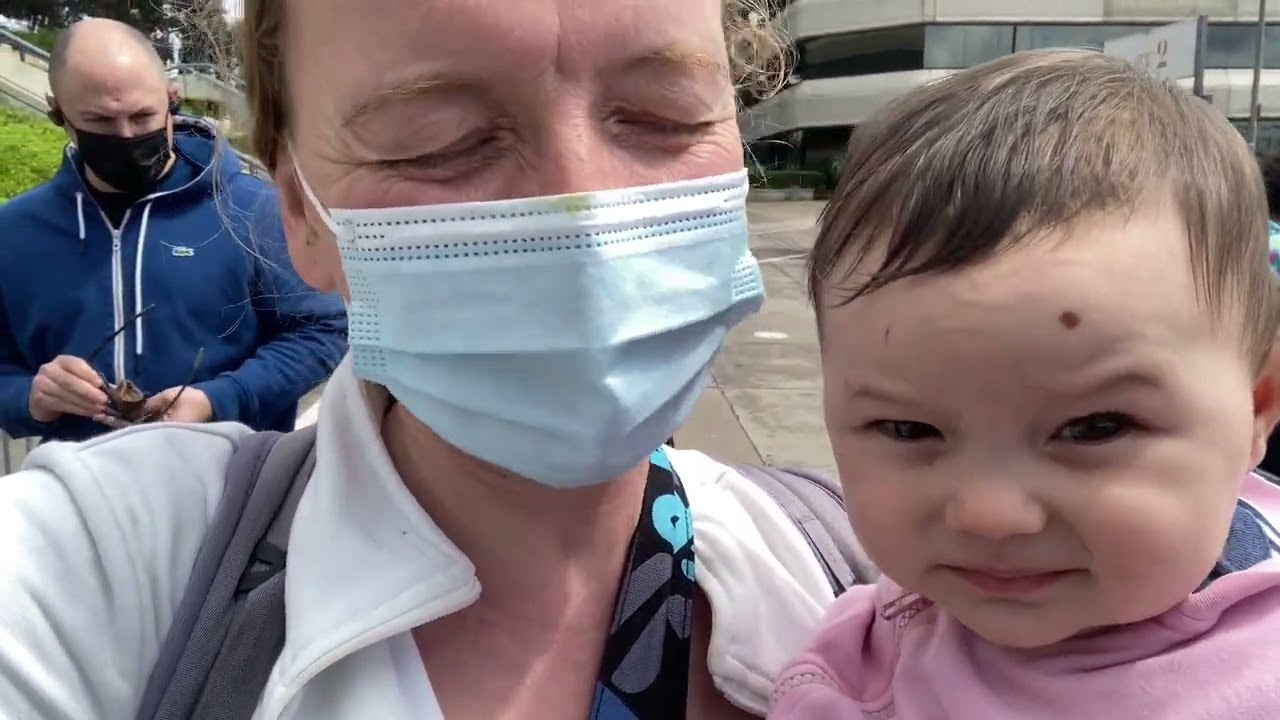 Mit Baby und vegan von Los Angeles nach Catalina Island