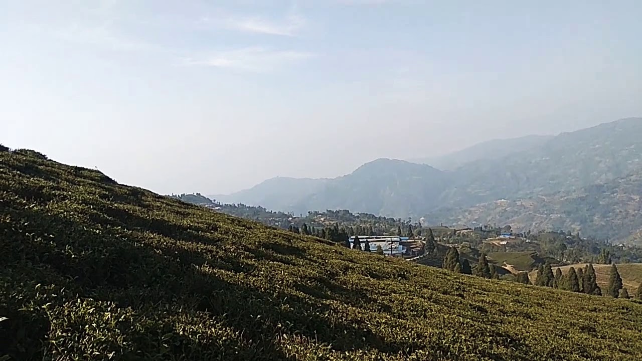 ilam Tea Garden View !!