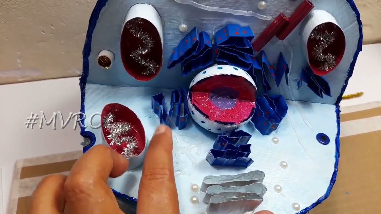Maqueta de la Célula animal con reciclaje ♻🤩MVRC♻